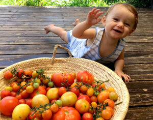סלסילת עגבניות ותינוקת
